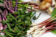 Fresh sourced food ingredients