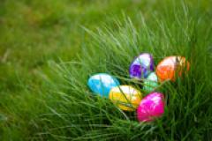 Easter eggs in grass