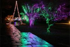 holiday lights