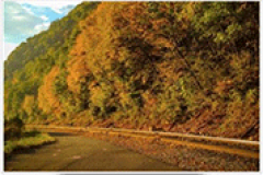 Fall Foliage Experience in Allegany County Fall Foliage Experience in Allegany County