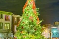 Grand Tree With Lights