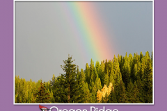 poster with rainbow