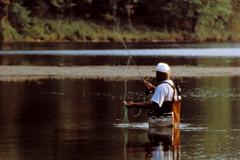 Fly Fishing at Deep Creek Lake State Park Deep Creek Lake is the perfect spot for fly fishing.