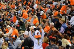 Ball Snatch at a Baltimore Orioles Game by Mitch Lebovic Ball Snatch at a Baltimore Orioles Game