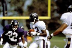 Ravens Training Camp Ravens Training Camp