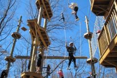 Climbing Ropes at Terrapin Adventures It's ok for the kids to swing from the trees here at Terrapin!