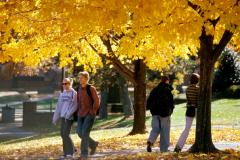 college students