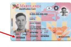 Sample Maryland Driver's License with "Veteran" designation Sample of Maryland Driver's License with Veteran designation