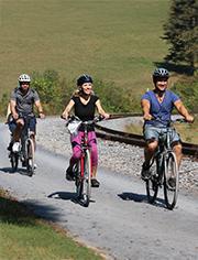 A Family Bicycling Together