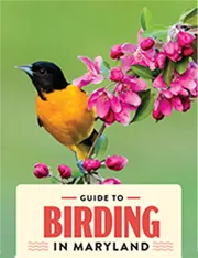 Guide to Birding in Maryland cover image