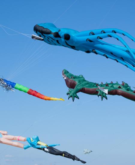 Maryland International Kite Expo