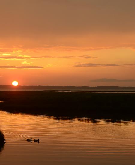 Ocean City Sunset