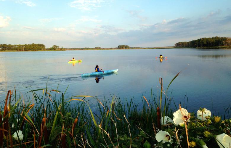 Blackwater Refuge offers land trails, paddling trails, exceptional bird and wildlife viewing, as well as hunting, fishing and crabbing opportunities in season. Several local outfitters offer canoe, kayak or bicycle rentals.