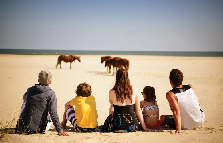 Family watching ponies on Assateague
