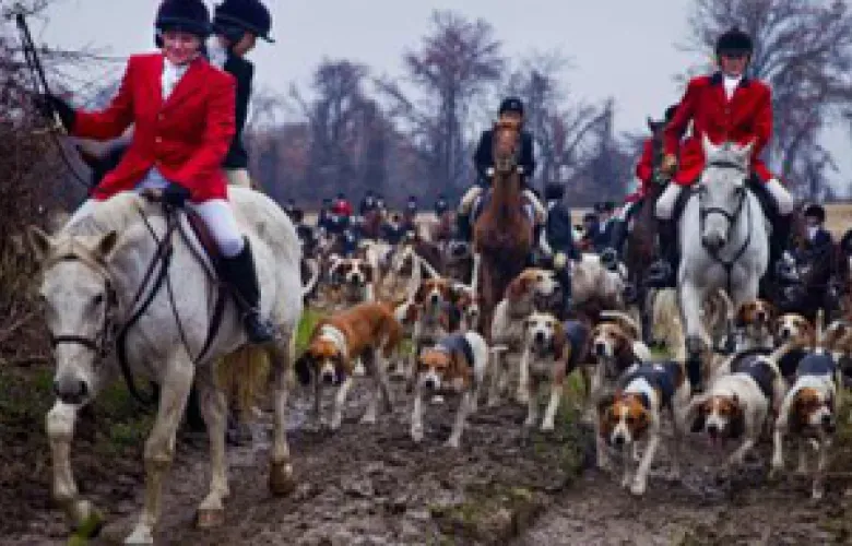 Fox hunting events in Baltimore County carry on a tradition that British colonist Robert Brooke first brought to North America in 1650 when he settled in southern Maryland.