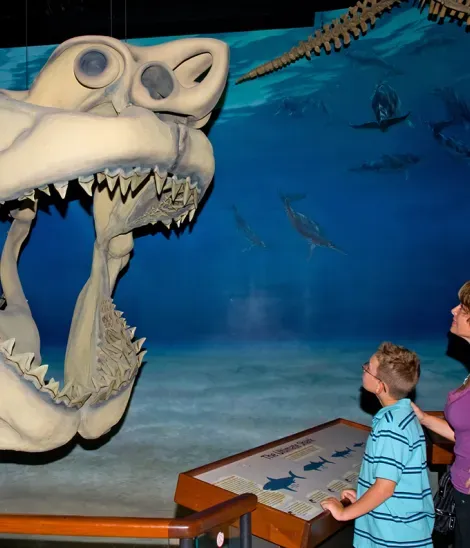 Calvert Marine Museum-Mason &amp; Chandra  at  Megalodon-model