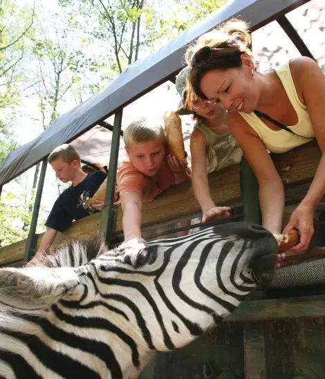 Zoo safari at the Catoctin Wildlife Preserve and Zoo in Thurmont