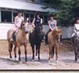 Horse riding at horse farm Photo