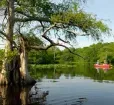 Nassawango Creek Preserve Photo