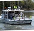 Sea Dux Photo