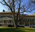Springfield Manor Photo