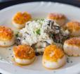 Scallops Risotto Photo