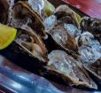 Oyster platter Photo