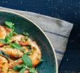 Shrimp Photo