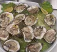 Oyster platter Photo