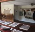 Nanticoke River Discovery Center Photo