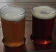 Beer in glasses Photo