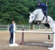 Tuckahoe Equestrian Center Foundation, Inc  Photo