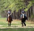 Tailsman Therapeutic Riding  Photo