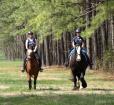Tailsman Therapeutic Riding Photo