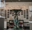 The Mermaid Museum Photo