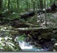 Dans Mountain State Park Photo