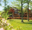 Suites at Silver Tree Photo