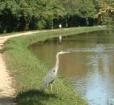 C & O Canal Trail Photo