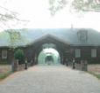 Horse carriage at Belair Stable Photo