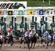 Laurel Park Photo