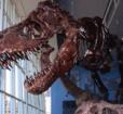 Maryland Science Center Photo