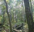 Smallwood State Park Photo