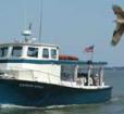 Dockside Express Cruises Photo