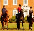 Mount Harmon Plantation-Horses Photo