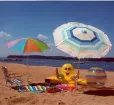 Buttonwood Beach RV Resort Photo