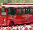 Discover Annapolis Trolley Photo