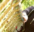 Go Ape Treetop Adventure Photo