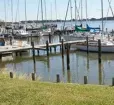 Long Cove Marina Photo
