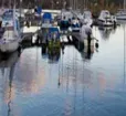Point Lookout Marina Photo