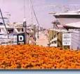 Rock Hall Landing Marina Photo